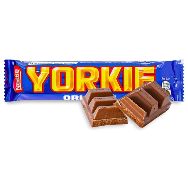 Yorkie